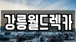 강원특별자치도 강릉시 강문동 렉카, 특수렉카, 차량탁송, 견인운송