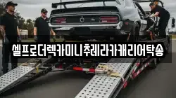 셀프로더렉카미니추레라카캐리어탁송
