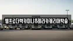 셀프로더렉카미니추레라카캐리어탁송