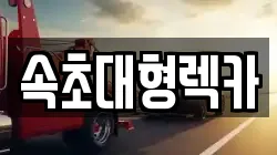 강원특별자치도 고성군 토성면 렉카, 특수렉카, 차량탁송, 견인운송
