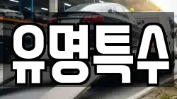 유명특수