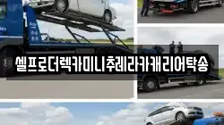 셀프로더렉카미니추레라카캐리어탁송