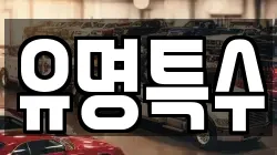 유명특수