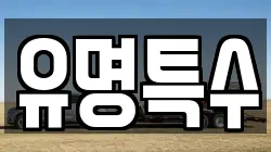 유명특수