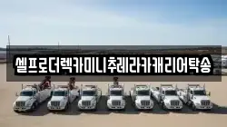 셀프로더렉카미니추레라카캐리어탁송