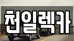 강원특별자치도 삼척시 성내동 렉카, 특수렉카, 차량탁송, 견인운송