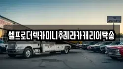 강원특별자치도 삼척시 정하동 렉카, 특수렉카, 차량탁송, 견인운송