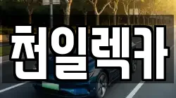 강원특별자치도 삼척시 평전동 렉카, 특수렉카, 차량탁송, 견인운송