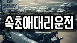 속초애대리운전