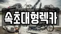 강원특별자치도 속초시 금호동 렉카, 특수렉카, 차량탁송, 견인운송
