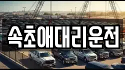 속초애대리운전