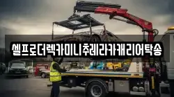 셀프로더렉카미니추레라카캐리어탁송