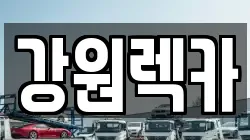 강원렉카