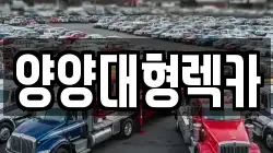 강원특별자치도 양양군 렉카, 특수렉카, 차량탁송, 견인운송