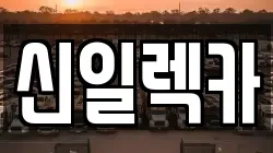 신일렉카