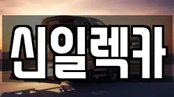 신일렉카