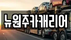 뉴원주카캐리어