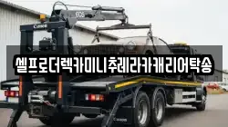 셀프로더렉카미니추레라카캐리어탁송