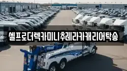 셀프로더렉카미니추레라카캐리어탁송