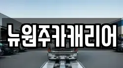 뉴원주카캐리어
