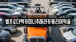 셀프로더렉카미니추레라카캐리어탁송