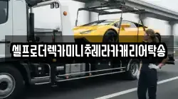 셀프로더렉카미니추레라카캐리어탁송