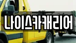 나이스카캐리어