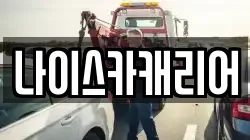 나이스카캐리어