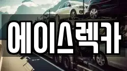 에이스렉카