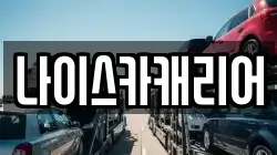 나이스카캐리어