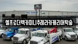 강원특별자치도 태백시 동점동 렉카, 특수렉카, 차량탁송, 견인운송