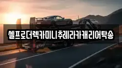 셀프로더렉카미니추레라카캐리어탁송