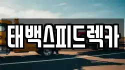 강원특별자치도 태백시 렉카, 특수렉카, 차량탁송, 견인운송