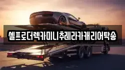 셀프로더렉카미니추레라카캐리어탁송