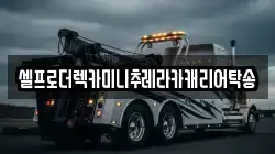 셀프로더렉카미니추레라카캐리어탁송