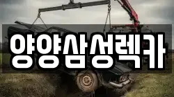 강원특별자치도 홍천군 남면 렉카, 특수렉카, 차량탁송, 견인운송