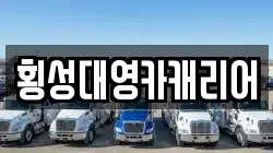 횡성대영카캐리어