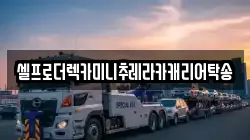 강원 강릉시 교동 렉카, 특수렉카, 차량탁송, 견인운송