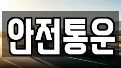 안전통운