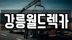 강원 강릉시 송정동 렉카, 특수렉카, 차량탁송, 견인운송