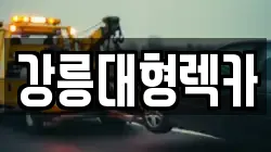 강원 강릉시 신석동 렉카, 특수렉카, 차량탁송, 견인운송