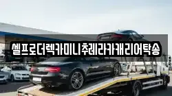 강원 강릉시 포남동 렉카, 특수렉카, 차량탁송, 견인운송