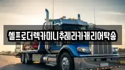 셀프로더렉카미니추레라카캐리어탁송
