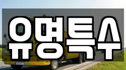 유명특수