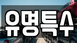 유명특수
