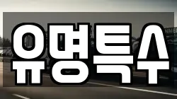 유명특수