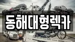 강원 동해시 단봉동 렉카, 특수렉카, 차량탁송, 견인운송