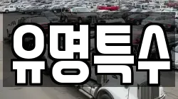 유명특수