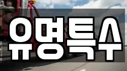 유명특수