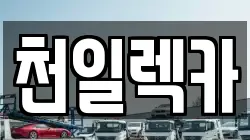 강원 삼척시 미로면 렉카, 특수렉카, 차량탁송, 견인운송
